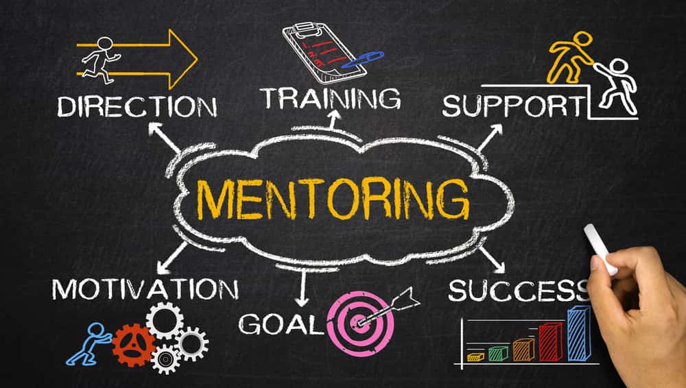 How To Find a Mentor in 8 Steps (Plus Mentorship Tips)